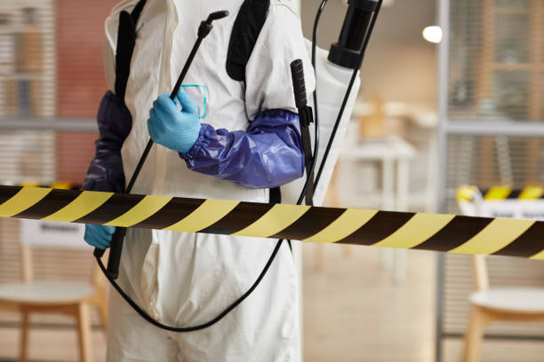 Professional Sewage Cleanup technician working in Lebanon, MO